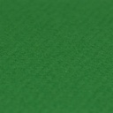 chroma green